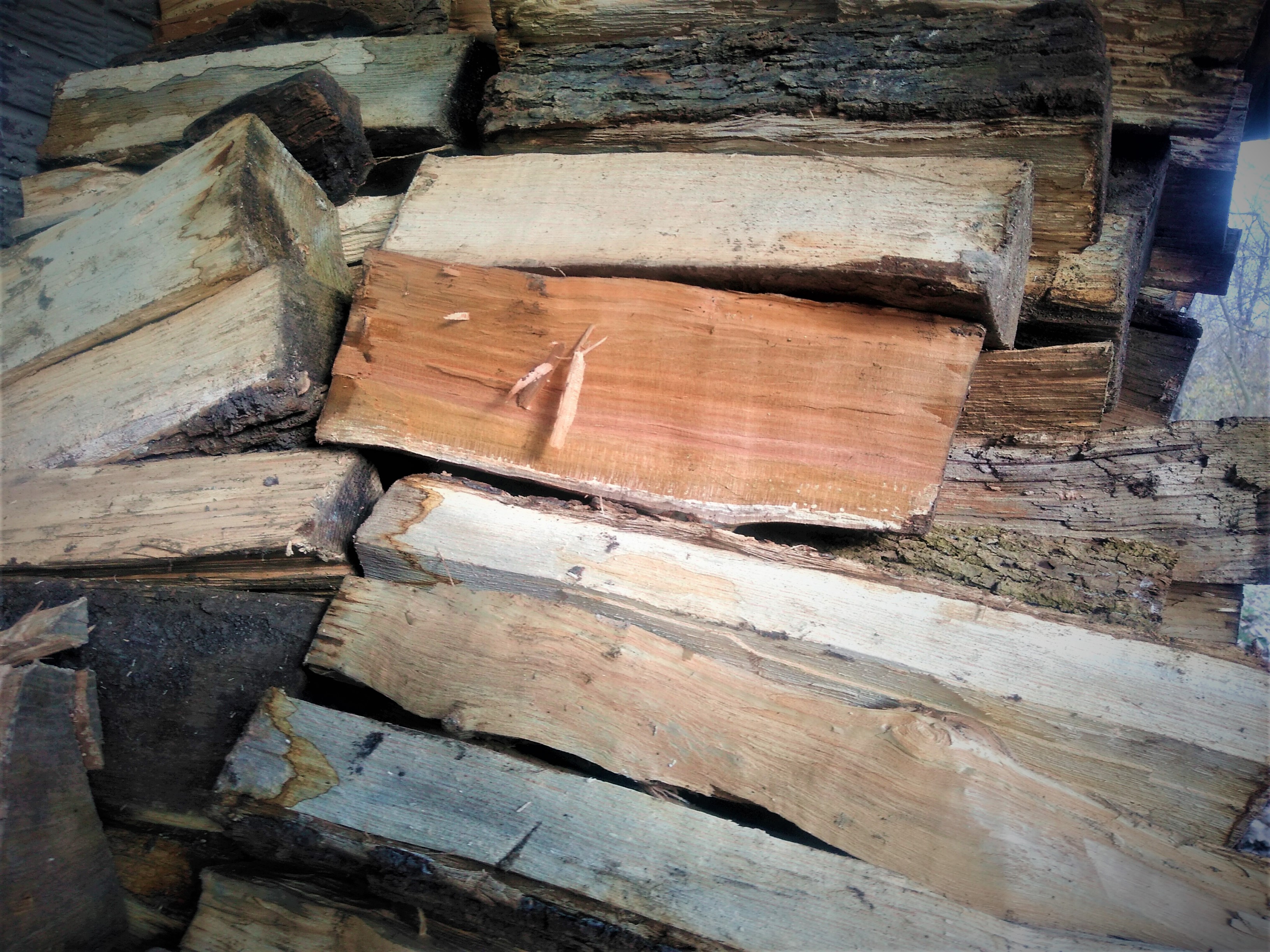Quarter Cord Split Firewood
